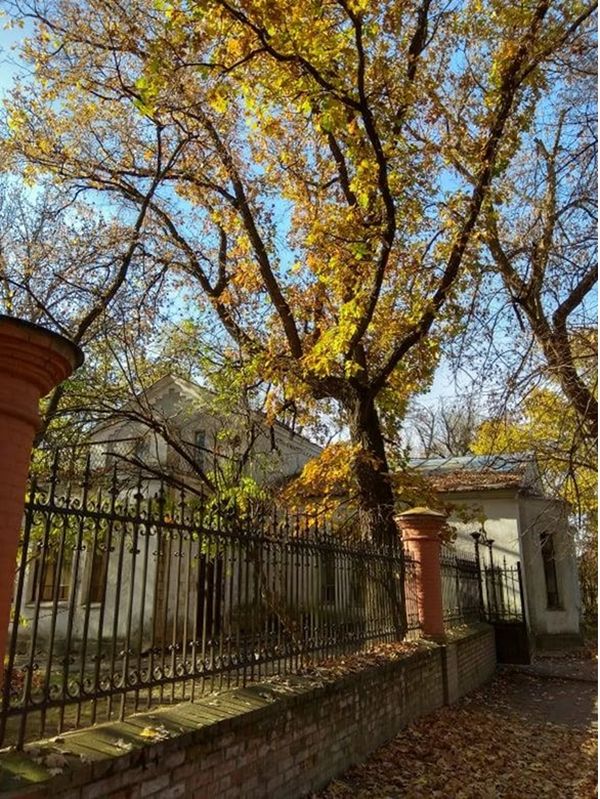 Онуфріївка